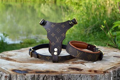 designer dog harness louis vuitton.